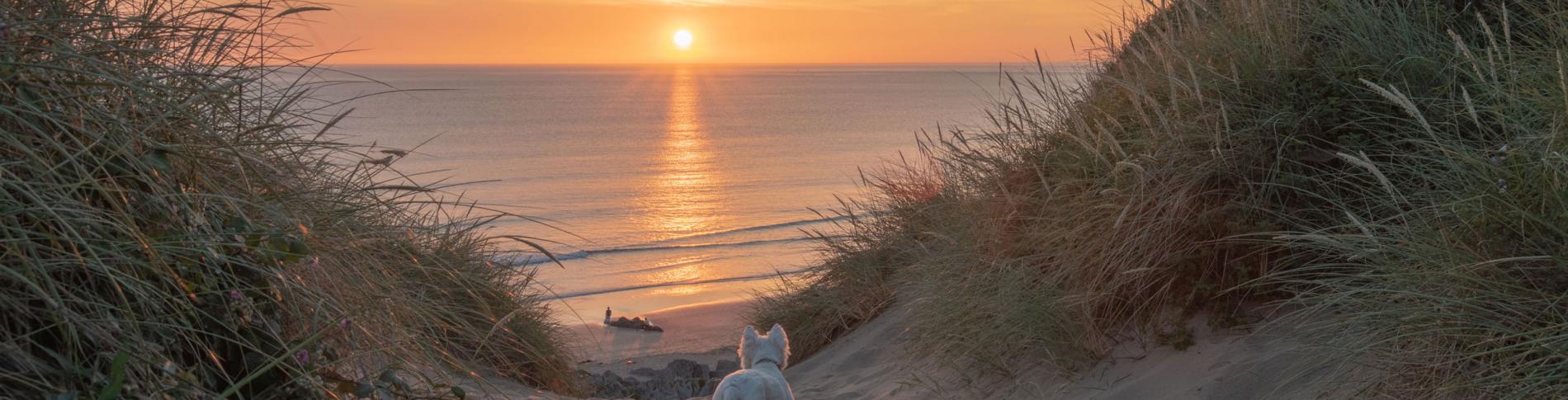 Woolacombe Sands Beach Dunes Sunset North Devon