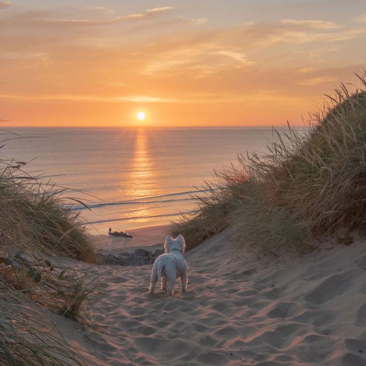 Woolacombe Sands Beach Dunes Sunset North Devon